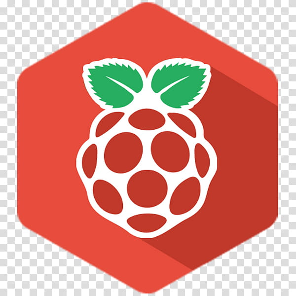 Turtle, Raspberry Pi, Noobs, Raspberry Pi Foundation, Computer, Raspbian, Pimoroni, Operating Systems transparent background PNG clipart