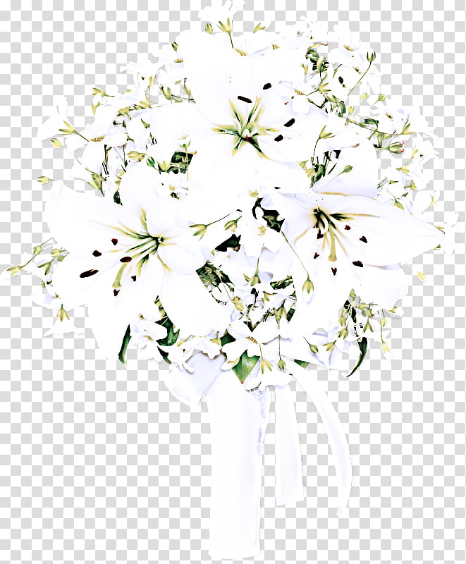 white flower plant cut flowers bouquet, Petal, Heracleum Plant transparent background PNG clipart