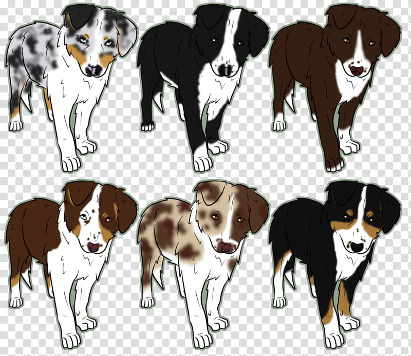 Australian shepherd litter,  LEFT, multicolored dog painting transparent background PNG clipart