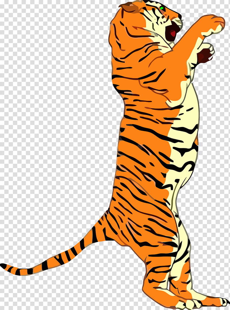 Cat Drawing, Bengal Tiger, White Tiger, Wildlife, Tail, Line, Animal Figure, Whiskers transparent background PNG clipart