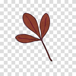 Leaf, Petal transparent background PNG clipart thumbnail