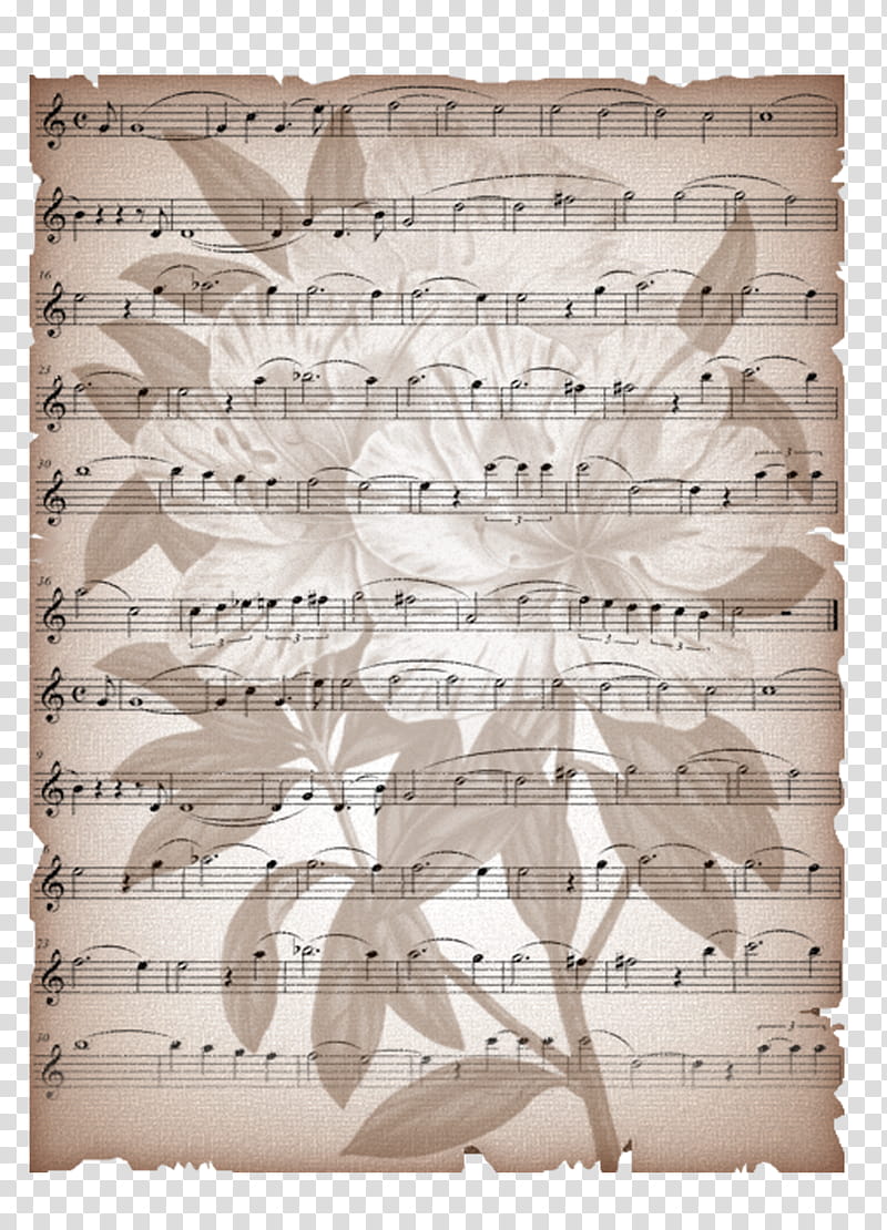 cover old music notes background