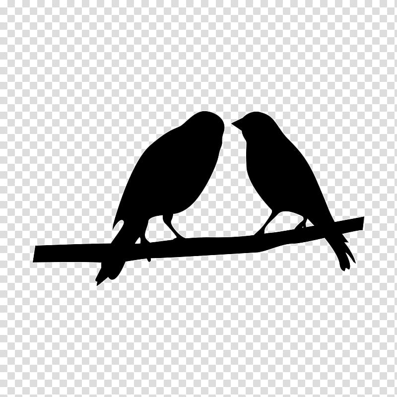 bird beak black branch songbird, Perching Bird, Twig, Logo, Silhouette transparent background PNG clipart