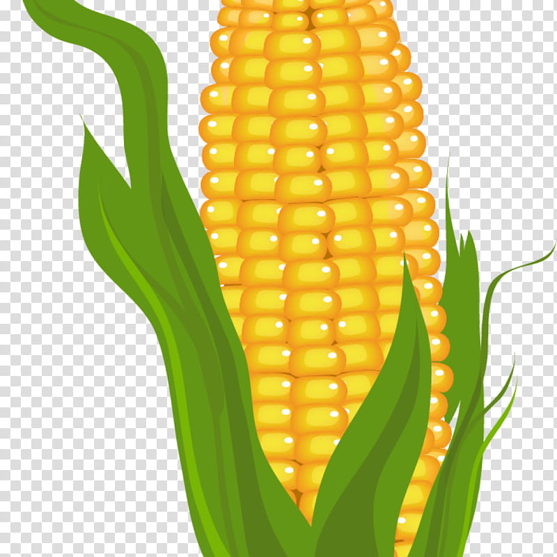 Vegetable, Corn, Corn On The Cob, Sweet Corn, Blog, Peruvian Corn, Corn Kernels, Vegetarian Food transparent background PNG clipart