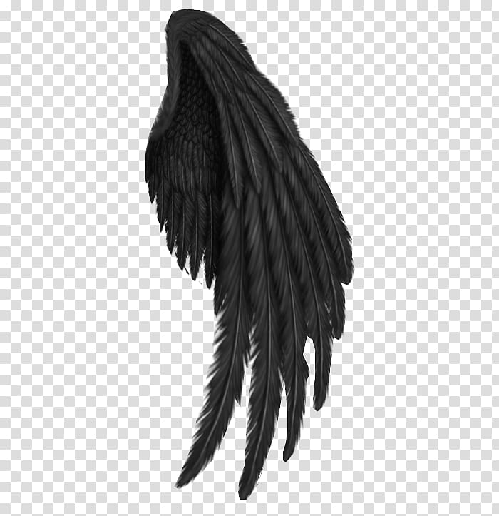 Angel, Drawing, Editing, Tattoo, Devil, Feather, Claw transparent background PNG clipart