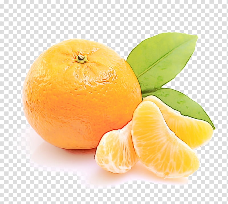 Lemon, Orange, Mandarin Orange, Fruit, Food, Flavor, Fresh Oranges, Kinnow transparent background PNG clipart