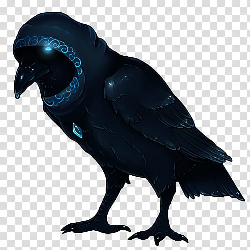 Cartoon Bird, American Crow, New Caledonian Crow, Common Raven, Beak, Feather, Crow Like Bird, Wing transparent background PNG clipart