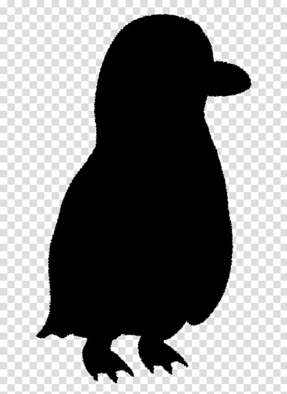 Koala, Wombat, Silhouette, Animal, Flightless Bird, Penguin, Gentoo Penguin, Beak transparent background PNG clipart