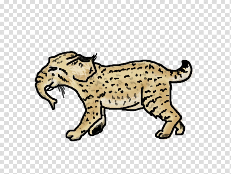 Lion Drawing, Whiskers, Cheetah, Leopard, Tiger, Ocelot, Cougar, Wildcat transparent background PNG clipart