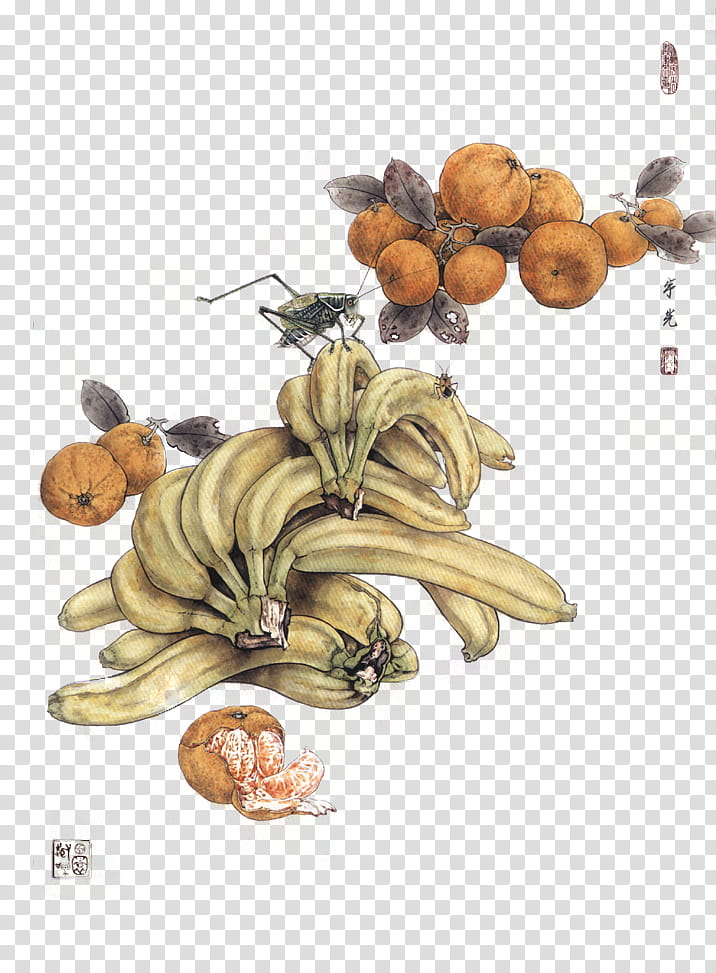 x JaeJade DA, yellow banana and orange fruit transparent background PNG clipart