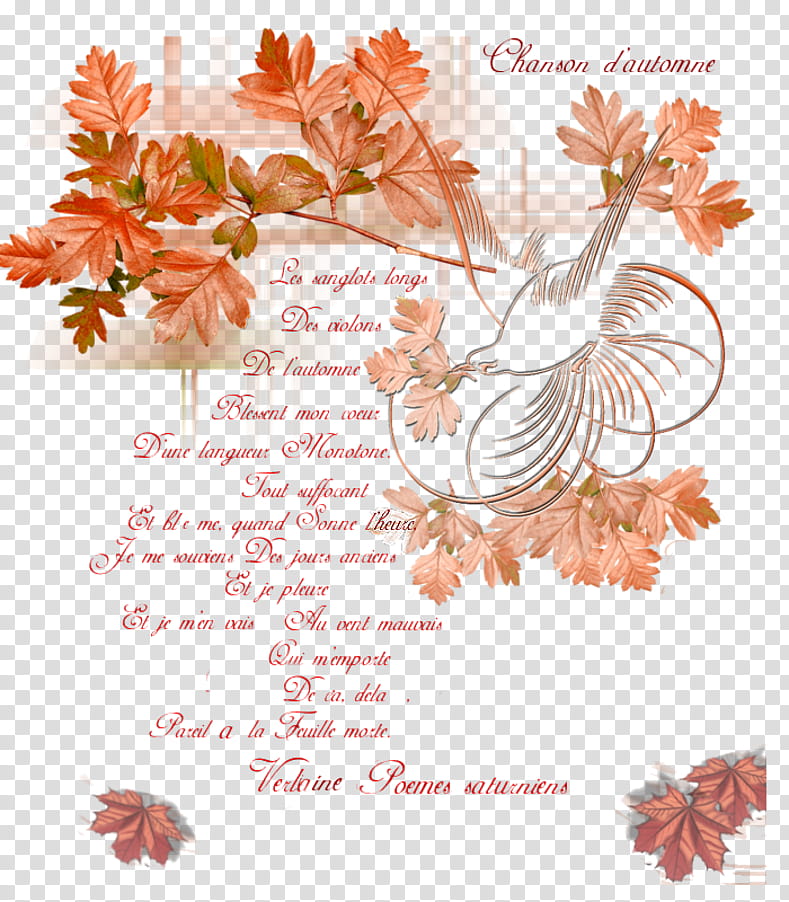Flowers, Chanson Dautomne, Mons 2015, Autumn, Poet, Floral Design, Text, Division transparent background PNG clipart