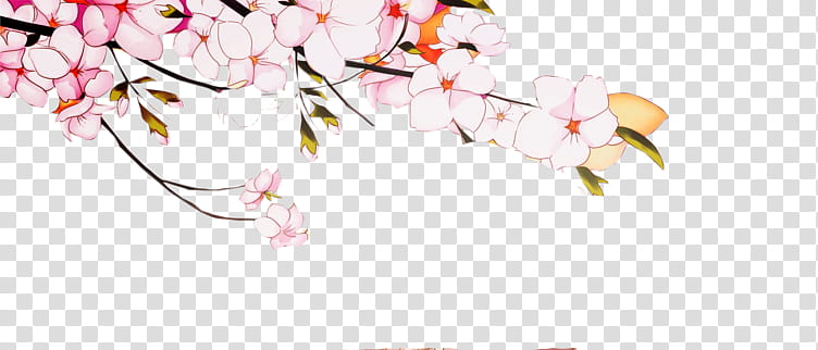 OD de flores , pink petaled flowers transparent background PNG clipart