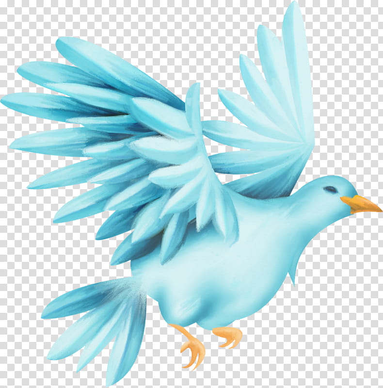 Bird, Pigeons And Doves, Drawing, Animal, Typical Pigeons, Cartoon, Beak, Blog transparent background PNG clipart