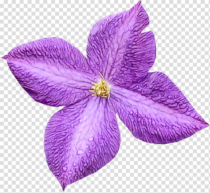 petal flower violet purple plant, Watercolor, Paint, Wet Ink, Flowering Plant, Lilac, Clematis, Periwinkle transparent background PNG clipart