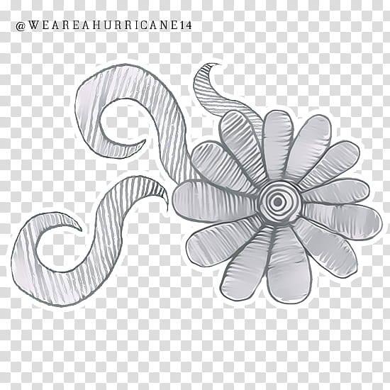 Doodle , gray flower sketch transparent background PNG clipart