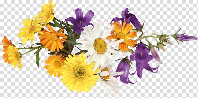 flower border flower background floral line, Cut Flowers, Bouquet, Yellow, Plant, Purple, Petal, Gerbera transparent background PNG clipart