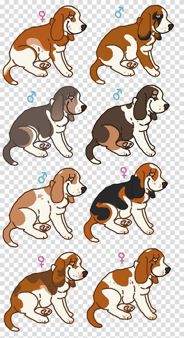 Cat And Dog, Beagle, Puppy, Breed, Animal, Paw, Puppy Love, Character, Wildlife, Tail transparent background PNG clipart