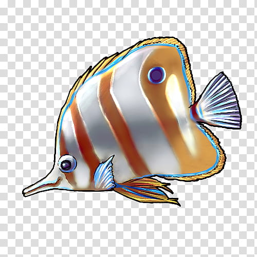 Fish, Fauna, Invertebrate, Butterflyfish, Pomacanthidae, Pomacentridae transparent background PNG clipart