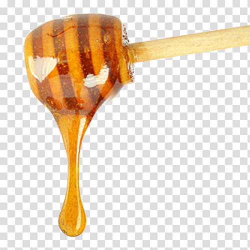 Honey, Beekeeping, Blog, Food, Spoon transparent background PNG clipart