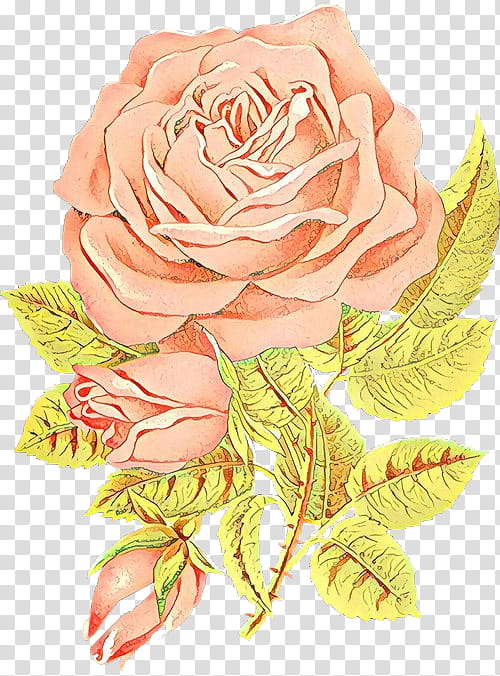 Pink Flower, Cartoon, Garden Roses, Cabbage Rose, Cut Flowers, Floral Design, Flower Bouquet, Petal transparent background PNG clipart