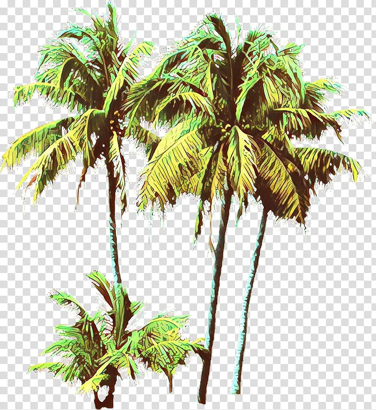 Palm tree, Cartoon, Plant, Arecales, Woody Plant, Coconut, Terrestrial Plant, Desert Palm transparent background PNG clipart