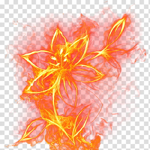 Background Free Fire, Flower, Flame, Petal, Garena Free Fire, Fire Safety, Fire Door, Orange transparent background PNG clipart