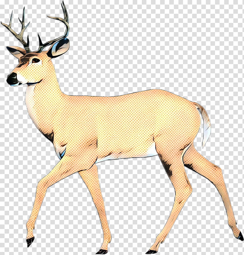 Animal, Whitetailed Deer, Snout, Antelope, Wildlife, Reindeer, Animal Figure, Chamois transparent background PNG clipart