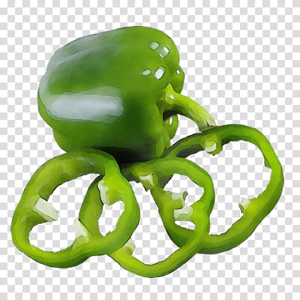 bell pepper green bell peppers and chili peppers green bell pepper pimiento, Watercolor, Paint, Wet Ink, Vegetable, Octopus, Capsicum, Plant transparent background PNG clipart