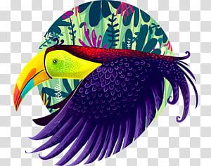 Fish, Biology, Beak, Feather, Purple transparent background PNG clipart thumbnail