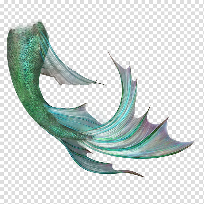 https://p1.hiclipart.com/preview/185/452/45/mermaids-tail-mis-pedidos-shop-green-fish-tail-illustration.jpg