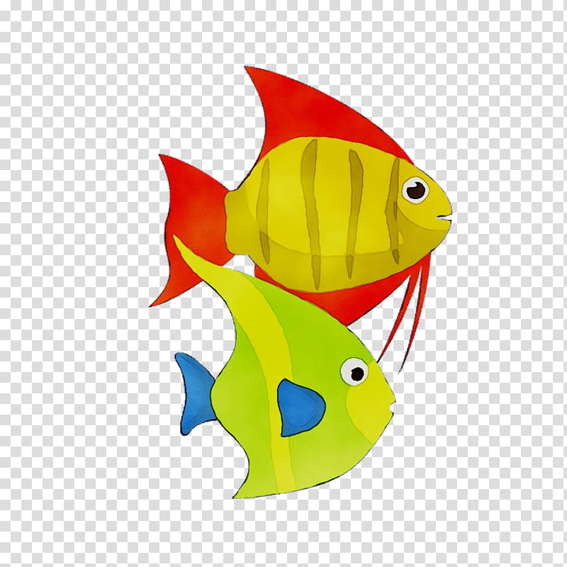 Coral Reef, Yellow, Biology, Fish, Animal, Fin, Butterflyfish, Pomacanthidae transparent background PNG clipart