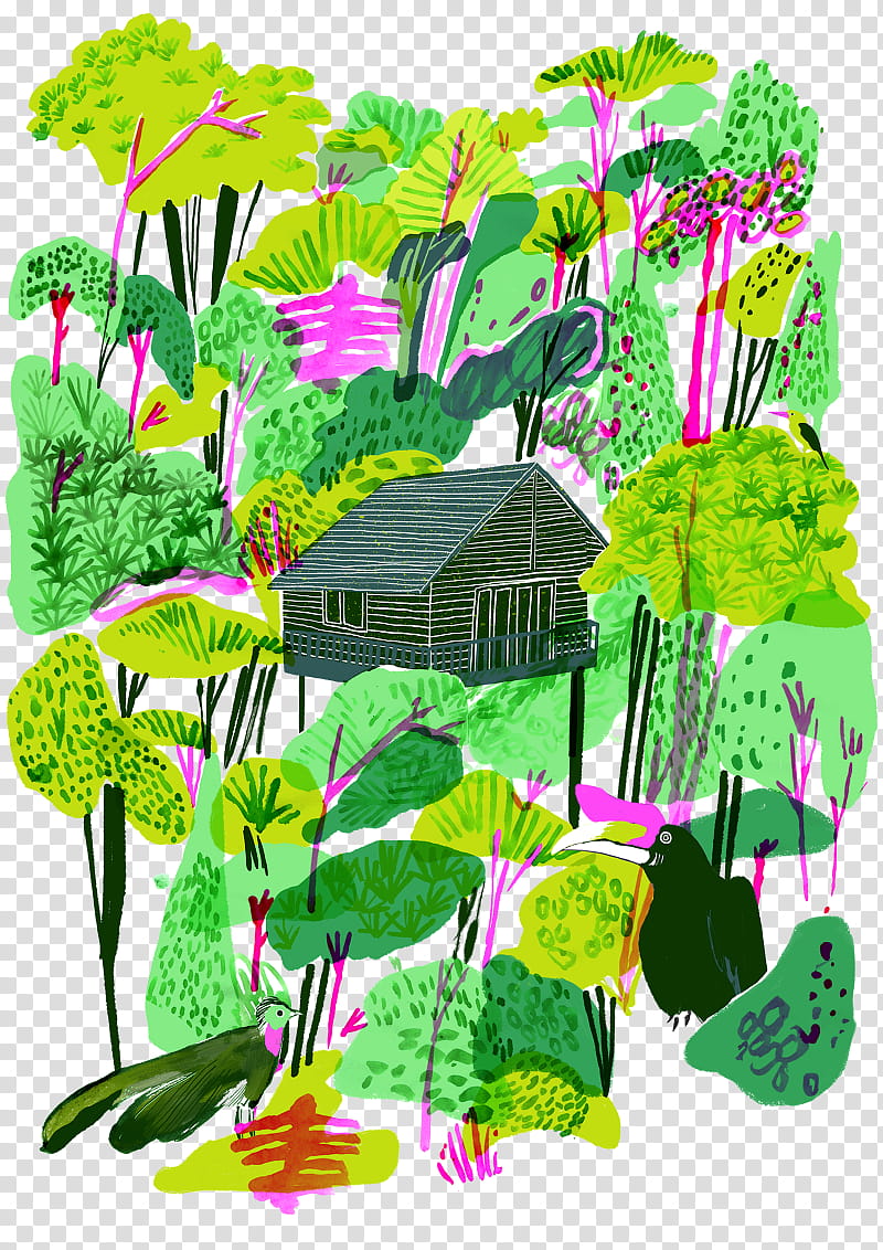 Tropical Leaf, Drawing, Rainforest, Jungle, Tropical Rainforest, Painting, Visual Arts, Cartoon transparent background PNG clipart