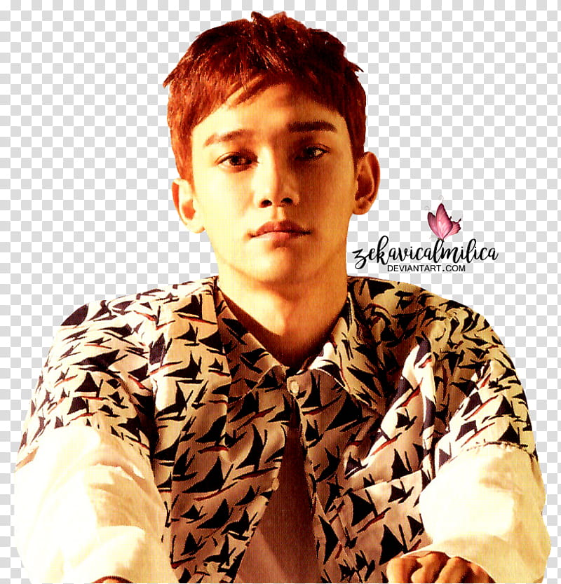 EXO CBX Chen Blooming Days, man in white and black jacket transparent background PNG clipart