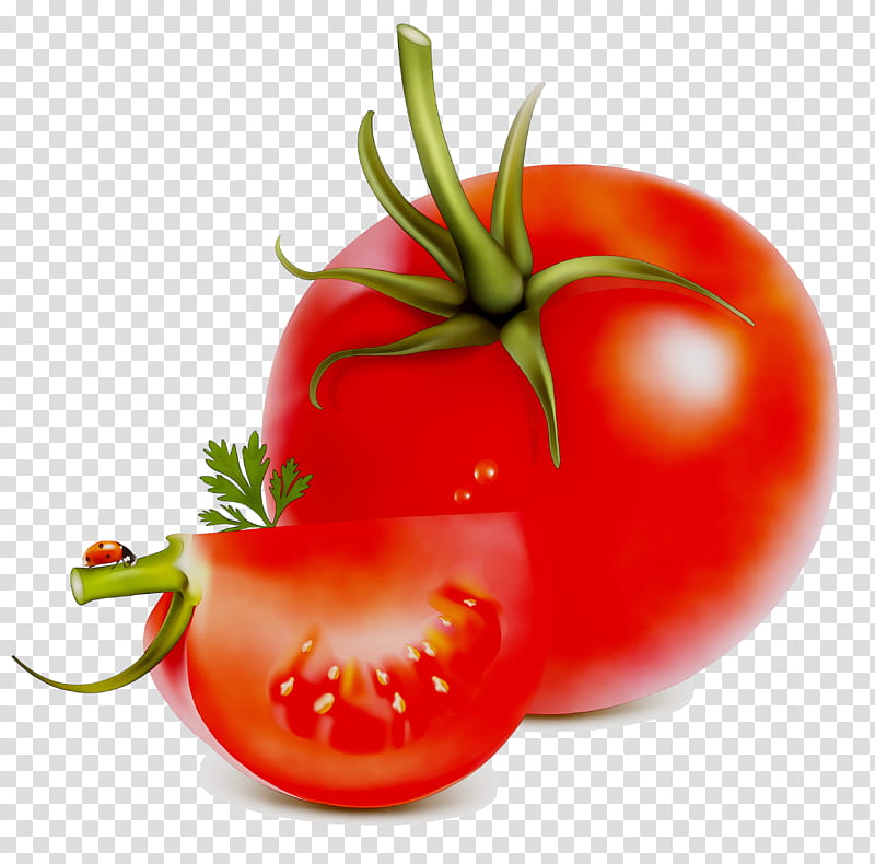 Tomato, Plum Tomato, Food, Peperoncino, Bell Pepper, Bush Tomato, Chili Pepper, Vegetable transparent background PNG clipart