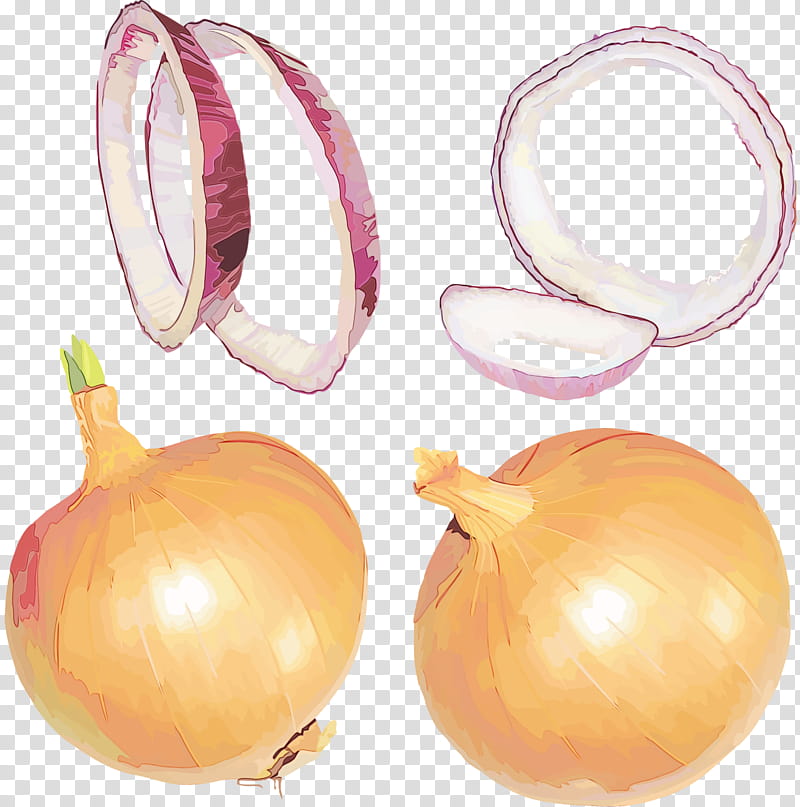 yellow onion vegetable onion plant allium, Watercolor, Paint, Wet Ink, Food, Shallot, Pearl Onion, Amaryllis Family transparent background PNG clipart