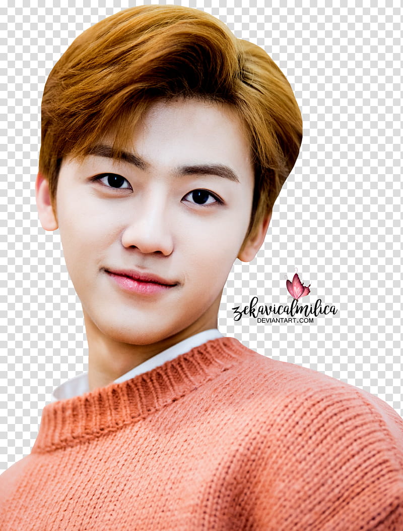 NCT Jaemin Sweet Valentine Day transparent background PNG clipart