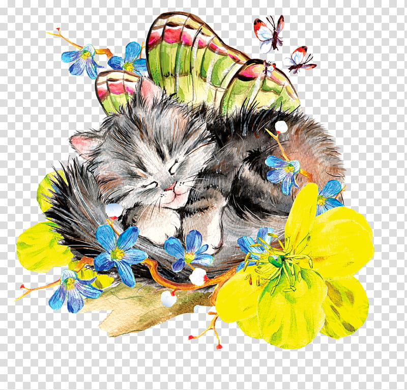 cat cat toy small to medium-sized cats kitten, Small To Mediumsized Cats, Maine Coon transparent background PNG clipart