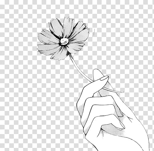 hand holding flower sketch transparent background PNG clipart