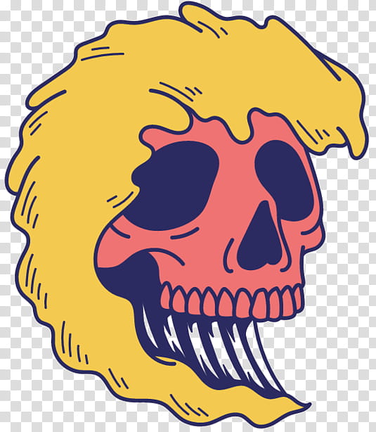 Skull, Snout, Jaw, Head, Yellow, Bone, Facial Hair, Line Art transparent background PNG clipart