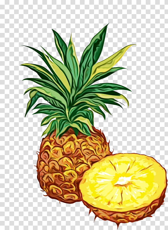 Watercolor Natural, Paint, Wet Ink, Pineapple, Drawing, Organic Pineapple, Fruit, Computer Icons transparent background PNG clipart