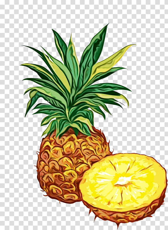 pineapple fruit clip art