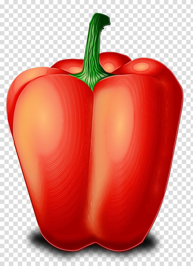 natural foods bell pepper pimiento vegetable capsicum, Watercolor, Paint, Wet Ink, Bell Peppers And Chili Peppers, Red Bell Pepper, Plant, Paprika transparent background PNG clipart