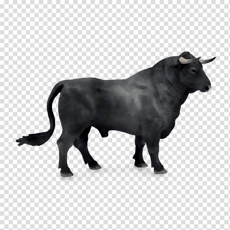 Family Symbol, Bull, Spanish Fighting Bull, Taurine Cattle, Horn, Ox, Dream, Significado transparent background PNG clipart