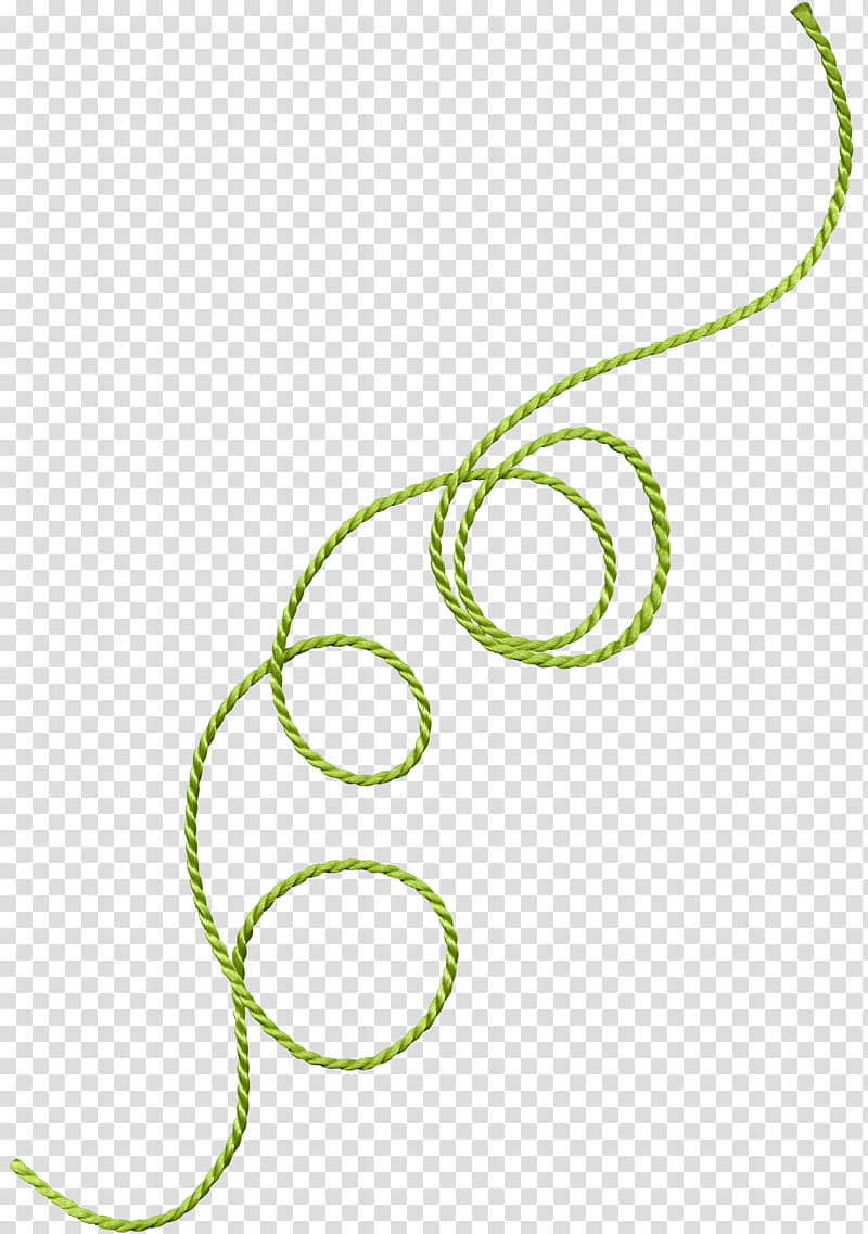 green rope transparent background PNG clipart