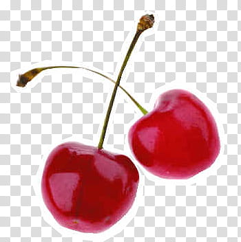 Frutas, two red cherries transparent background PNG clipart