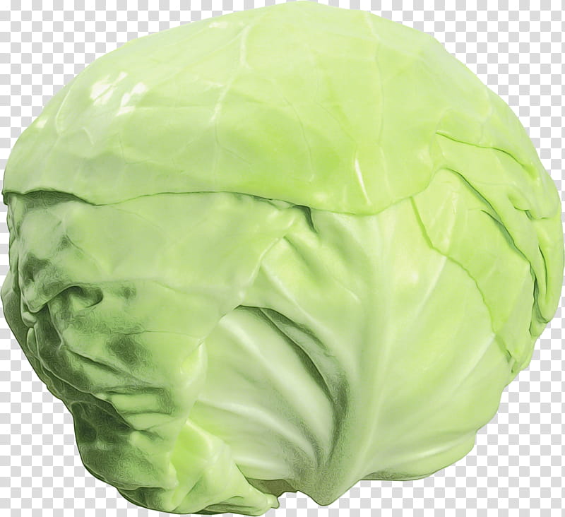 Green Leaf, Collard, Savoy Cabbage, Lettuce, Mustards, Wild Cabbage, Iceburg Lettuce, Vegetable transparent background PNG clipart