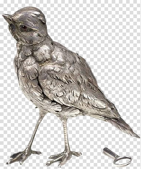Bizarre Victorian collection, black bird illustration transparent background PNG clipart