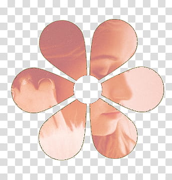 Demi Lovato Mini flores transparent background PNG clipart