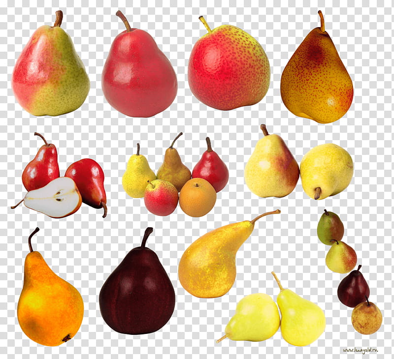 Tomato, Vegetarian Cuisine, Asian Pear, Fruit, European Pear, Pyrus Nivalis, Chinese White Pear, Apple transparent background PNG clipart