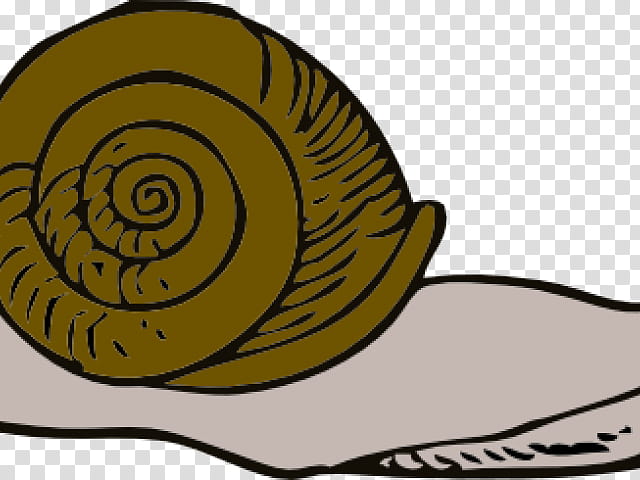 Snail, Escargot, Slug, Gastropod Shell, Gastropods, Email, Snails And Slugs, Sea Snail transparent background PNG clipart